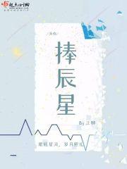 极境高武