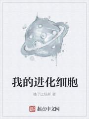 张青锋张天悦